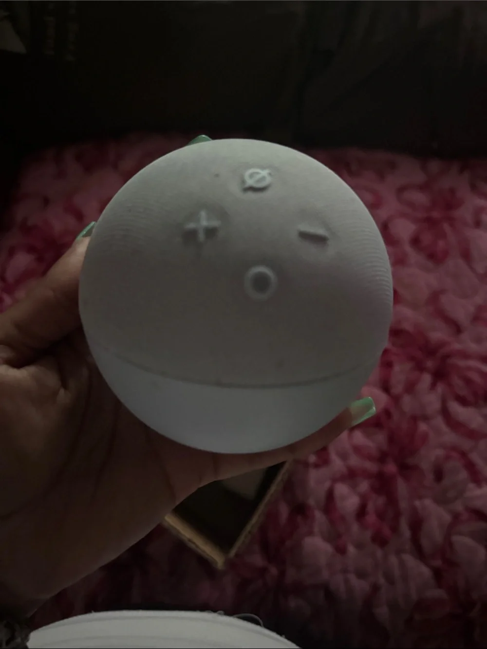 Amazon Echo Dot